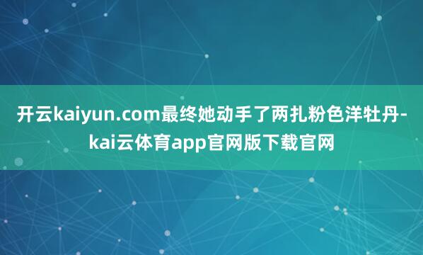 开云kaiyun.com最终她动手了两扎粉色洋牡丹-kai云体育app官网版下载官网